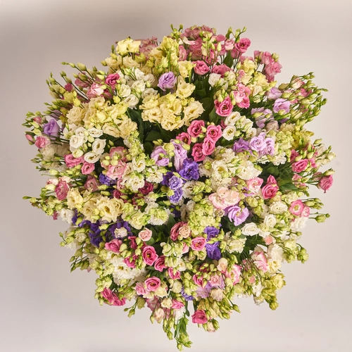 Product image Box of 101 Eustoma Mix, packaging: Purple, vendor code: 2648
