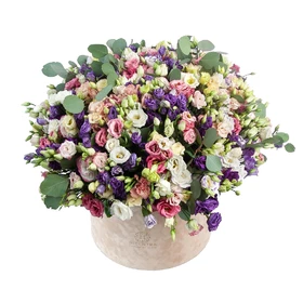 Box of 101 Eustoma Mix 