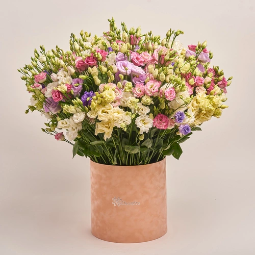 Product image Box of 75 Eustoma Mix, packaging: Powder, vendor code: 2649