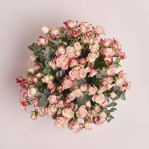 Product image Box of 25 Reflex Rose Spray , vendor code: 2654