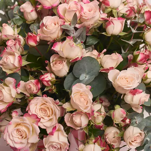 Product image Box of 25 Reflex Rose Spray , vendor code: 2654