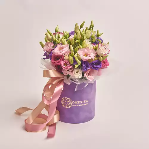 Product image Box of 19 Eustoma Mix, packaging: Purple, vendor code: 2655