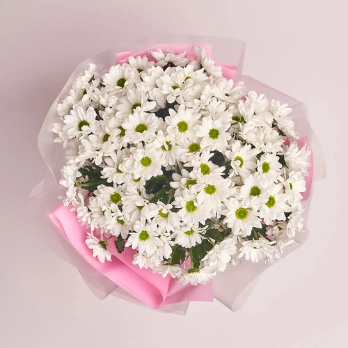 Product image Bouquet of 15 Chrysanthemums Daisies , packaging: Transparent, vendor code: 2671
