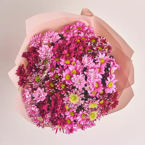 Product image Bouquet of 15 Pink Chrysanthemums Mix, packaging: Powder, vendor code: 2672