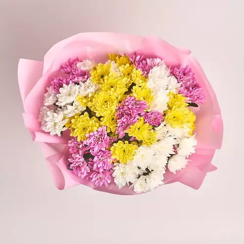 Product image Bouquet of 15 Chrysanthemums Mix, packaging: Pink, vendor code: 2673