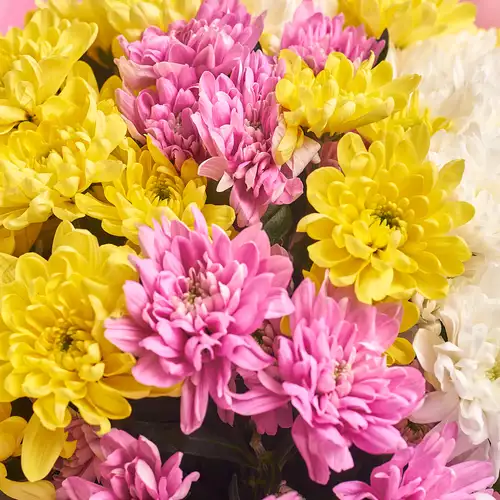 Product image Bouquet of 15 Chrysanthemums Mix, packaging: Pink, vendor code: 2673