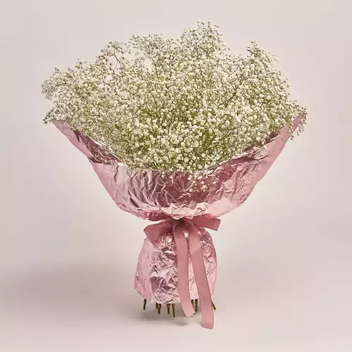 Product image Bouquet 15 Gypsophilus, packaging: Foil, vendor code: 2678