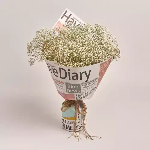 Bouquet 15 Gypsophilus