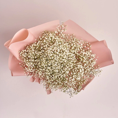 Product image Bouquet 15 Gypsophilus, packaging: Powder, vendor code: 2678