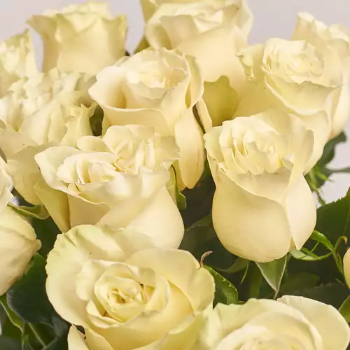 Product image Bouquet of 15 Roses Mondial 80 cm., packaging: Coral, vendor code: 2679