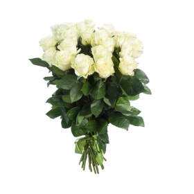 Bouquet of 25 Roses Mondial 80 cm. 
