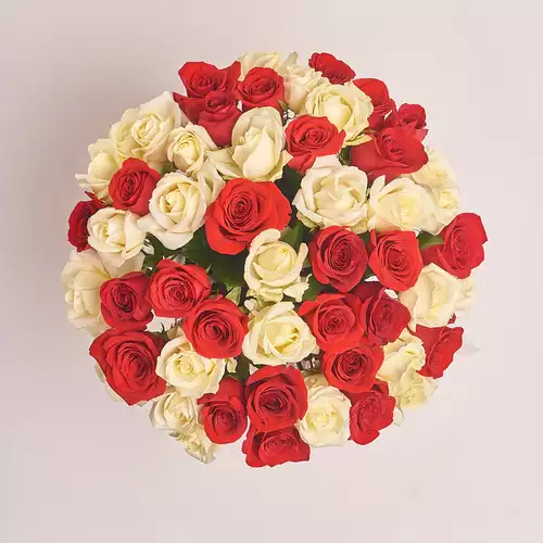 Product image Box of 51 Red and White Roses, packaging: Blue, vendor code: 2681