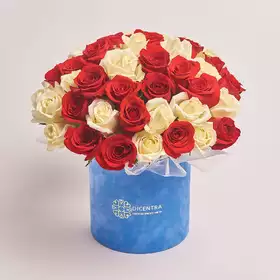 Box of 51 Red and White Roses