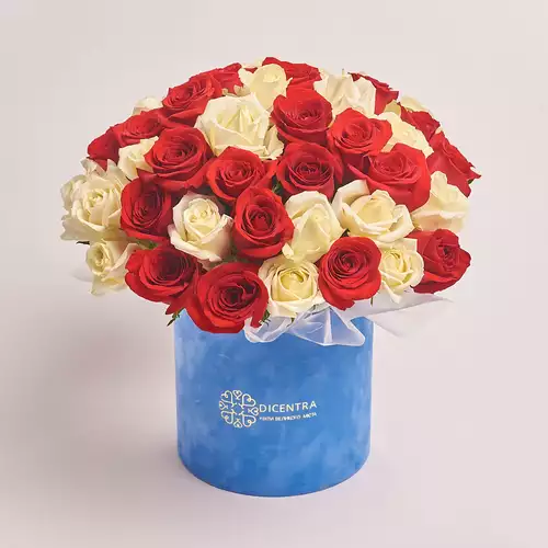 Product image Box of 51 Red and White Roses, packaging: Blue, vendor code: 2681