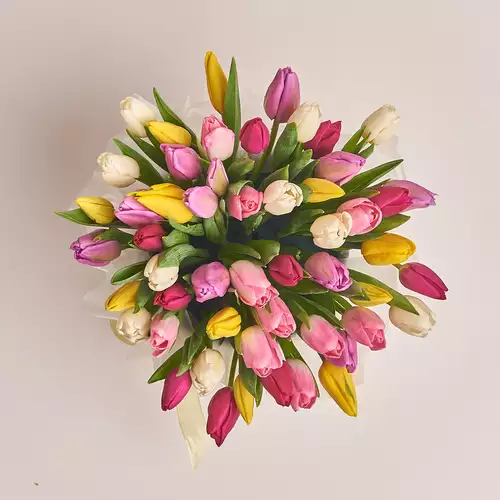 Product image Box of 51 Tulip Mix, packaging: Purple, vendor code: 2682