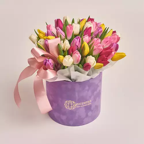 Product image Box of 51 Tulip Mix, packaging: Purple, vendor code: 2682