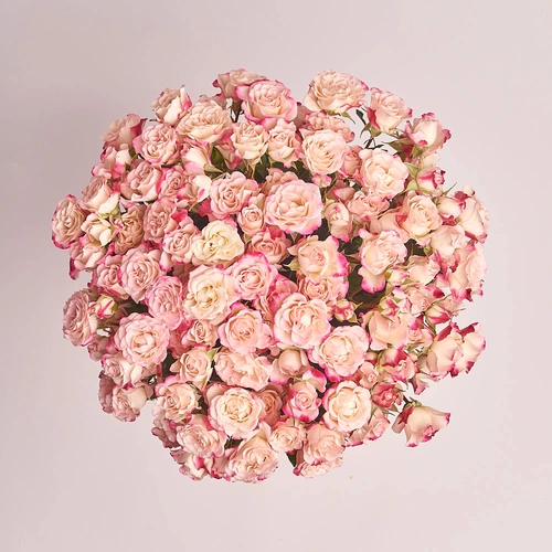 Product image Bouquet of 25 Reflex Spray Roses, packaging: Without packaging, vendor code: 2684