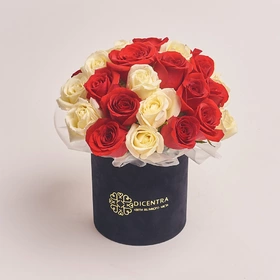 Box 31 Red and White Rose