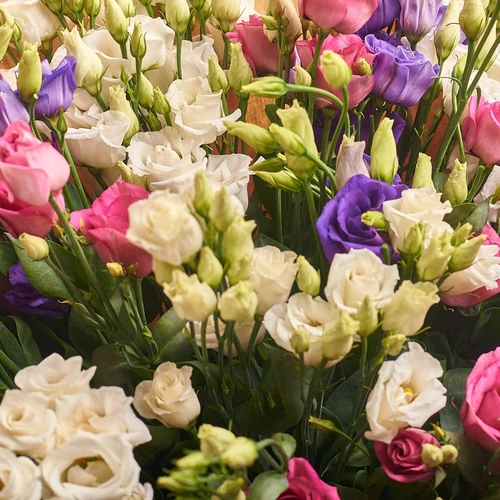 Product image Bouquet 25 Eustoma Mix , packaging: Transparent, vendor code: 2692