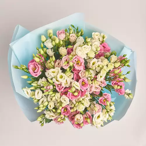 Product image Bouquet of 25 White and Pink Eustoma Mix, packaging: Blue, vendor code: 2694