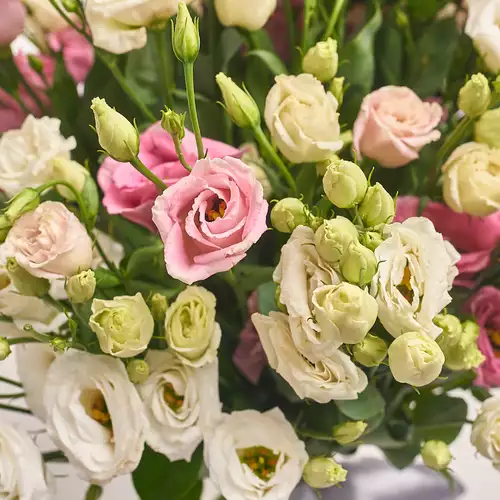 Product image Bouquet of 25 White and Pink Eustoma Mix, packaging: Blue, vendor code: 2694