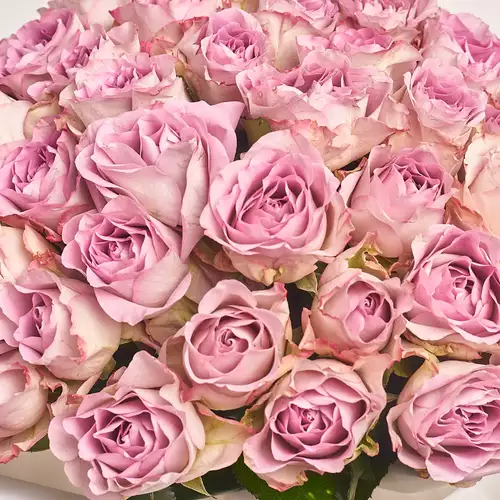 Product image Bouquet 51 Rose Memory Lane, packaging: White, vendor code: 2695