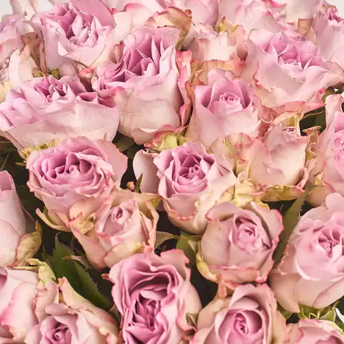 Product image Bouquet of 35 Roses Memory Lane, packaging: Gradiens violet, vendor code: 2697