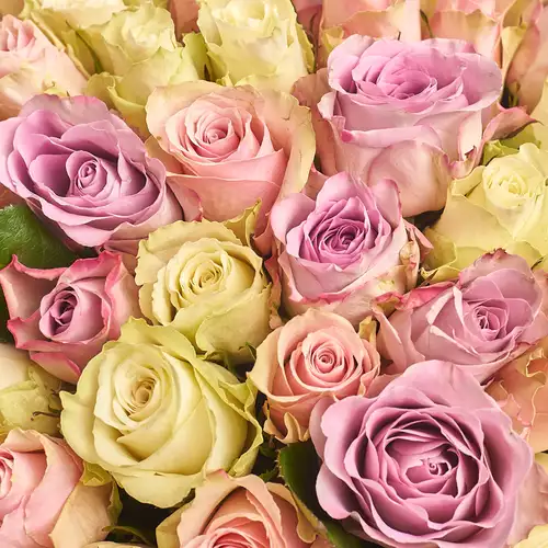 Product image Bouquet 101 Rose Athena and Memory Mix, packaging: Without packaging, vendor code: 2703