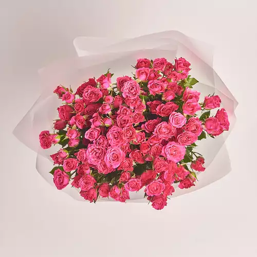 Product image Bouquet of 25 Hot pink Spray roses, packaging: Transparent, vendor code: 2706