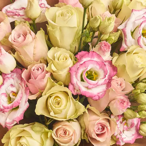 Product image Bouquet 722, packaging: 
Graphite, vendor code: 2707