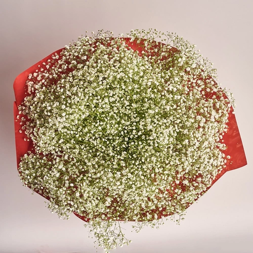 Product image Bouquet 25 Gypsophilus, packaging: Red, vendor code: 2708