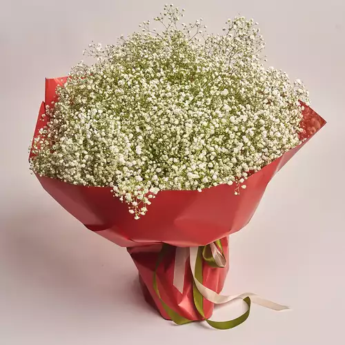 Product image Bouquet 25 Gypsophilus, packaging: Red, vendor code: 2708