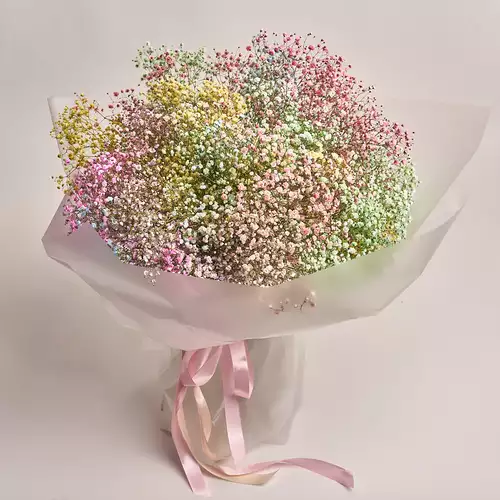 Product image Bouquet 25 Gypsophila Painted, packaging: Transparent, vendor code: 2709