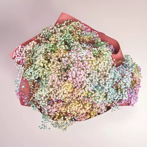Product image Bouquet 25 Gypsophila Painted, packaging: Coral, vendor code: 2709