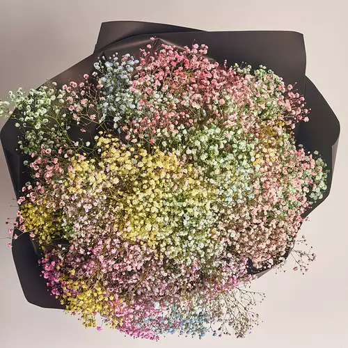 Product image Bouquet 25 Gypsophila Painted, packaging: 
Graphite, vendor code: 2709