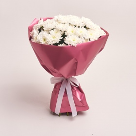Bouquet of 11 White Chrysanthemums 