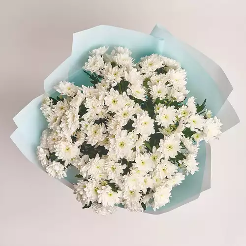 Product image Bouquet of 15 White Chrysanthemums, packaging: Blue, vendor code: 2728