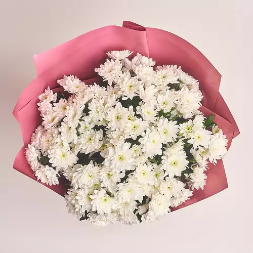 Product image Bouquet of 15 White Chrysanthemums, packaging: Coral, vendor code: 2728
