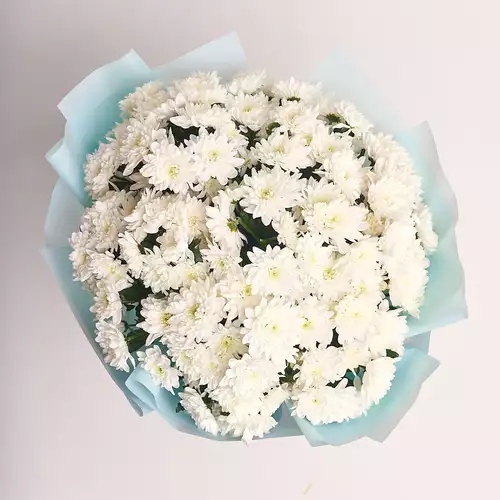 Product image Bouquet of 19 White Chrysanthemums , packaging: Blue, vendor code: 2729