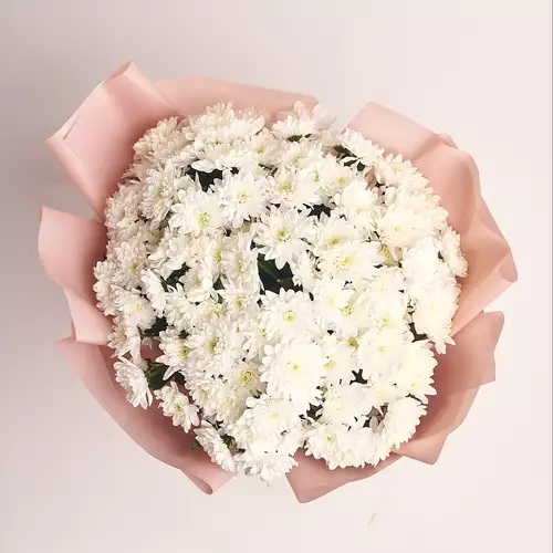 Product image Bouquet of 19 White Chrysanthemums , packaging: Powder, SKU: 2729