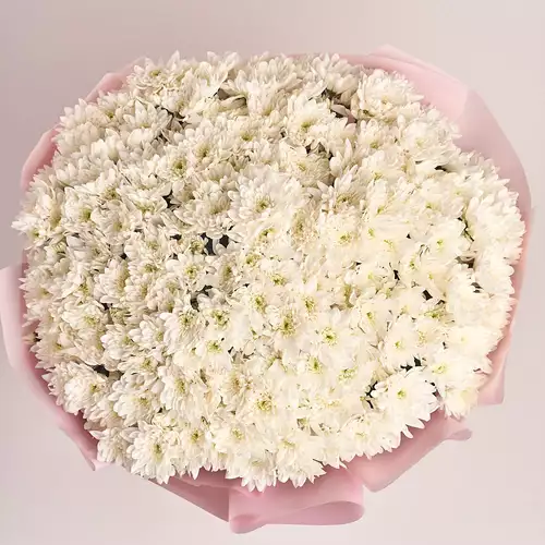 Product image Bouquet of 29 White Chrysanthemums, packaging: Pink, vendor code: 2730
