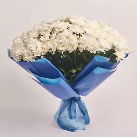 Bouquet of 29 White Chrysanthemums