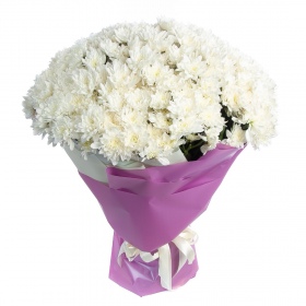 Bouquet of 29 White Chrysanthemums 