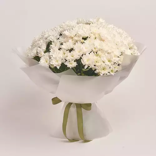 Product image , vendor code: 