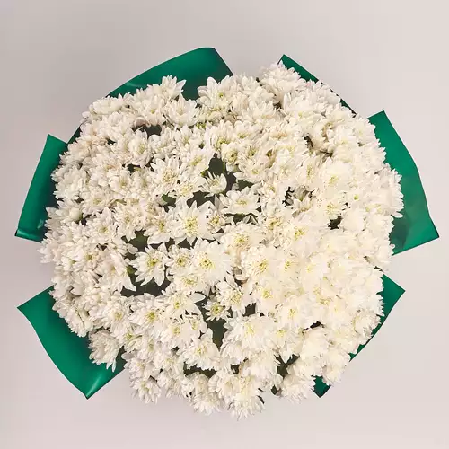 Product image Bouquet of 35 White Chrysanthemums, packaging: Green, vendor code: 2731