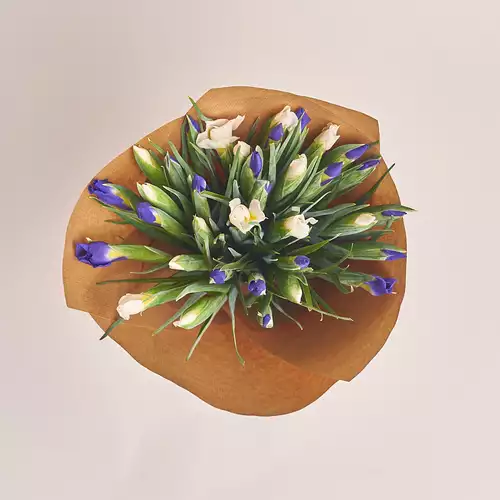 Product image Bouquet of 35 Irises Mix, packaging: Сraft, vendor code: 2734