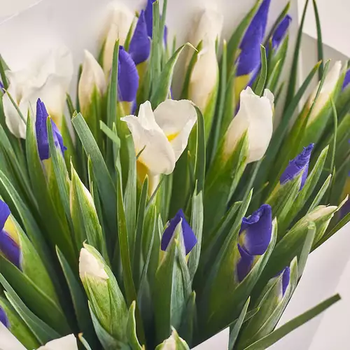 Product image Bouquet of 35 Irises Mix, packaging: Сraft, vendor code: 2734