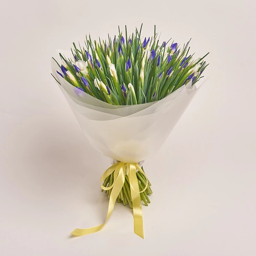 Product image Bouquet 101 Iris Mix, packaging: Transparent, vendor code: 2736