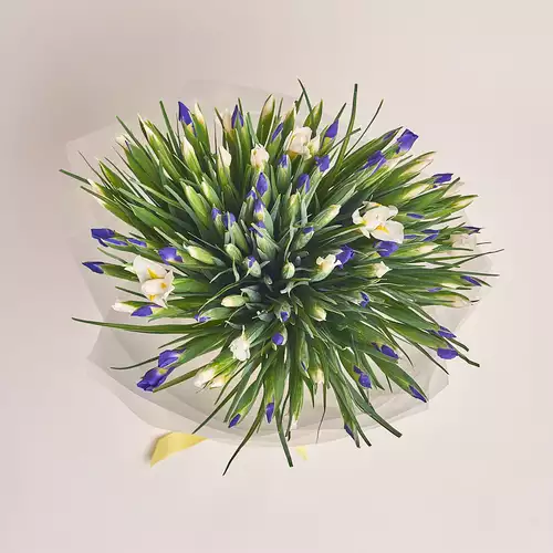 Product image Bouquet 101 Iris Mix, packaging: Transparent, vendor code: 2736