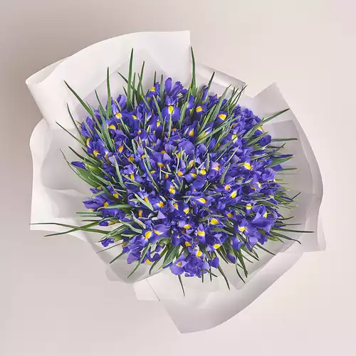 Product image Bouquet 101 Iris, packaging: White, vendor code: 2737